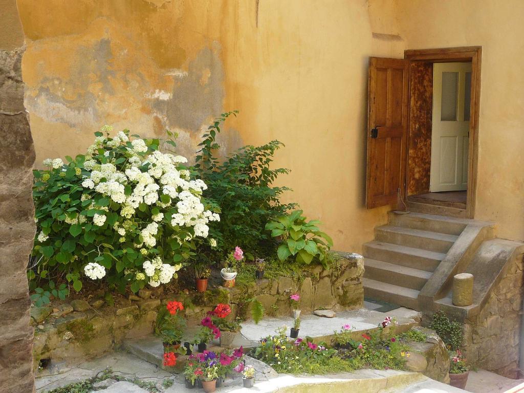 Casa Cojo Leilighet Sighişoara Rom bilde
