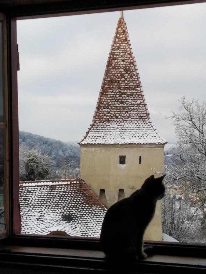 Casa Cojo Leilighet Sighişoara Eksteriør bilde
