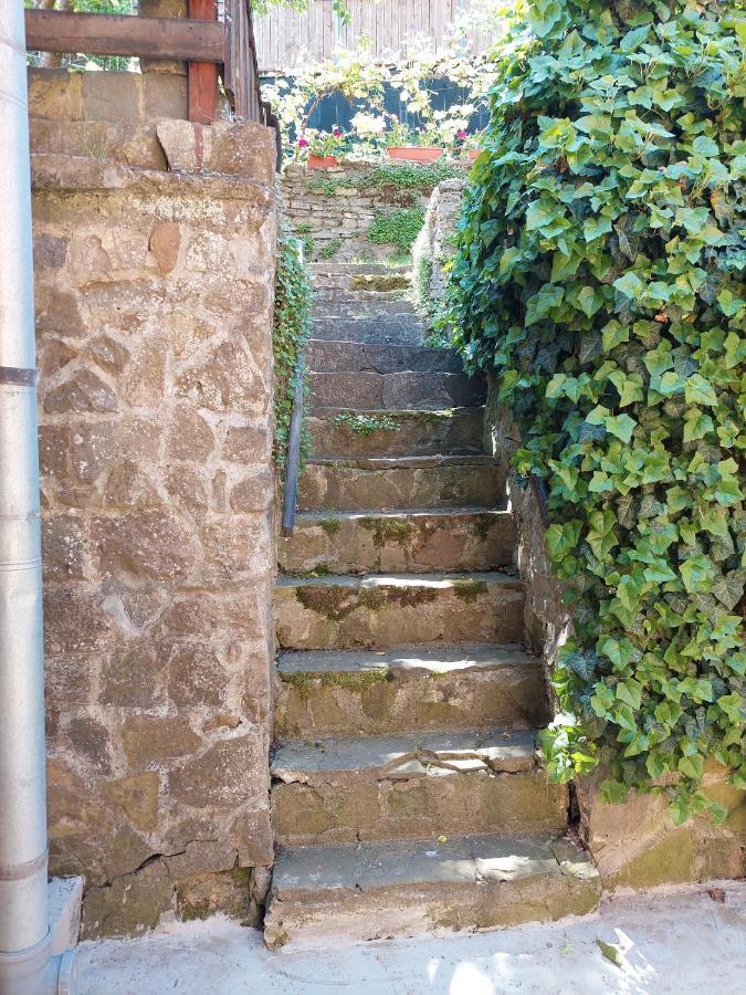 Casa Cojo Leilighet Sighişoara Eksteriør bilde